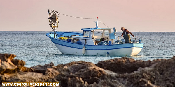 pesca sportiva a capoliveri